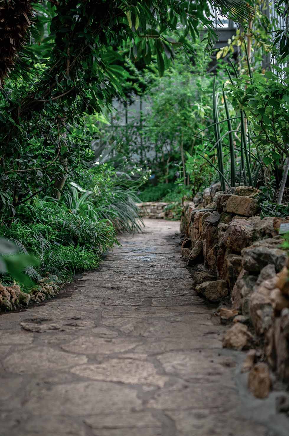 Gepflasterter Weg in einem üppig grünen Garten mit Steinmauern und verschiedenen Pflanzen.