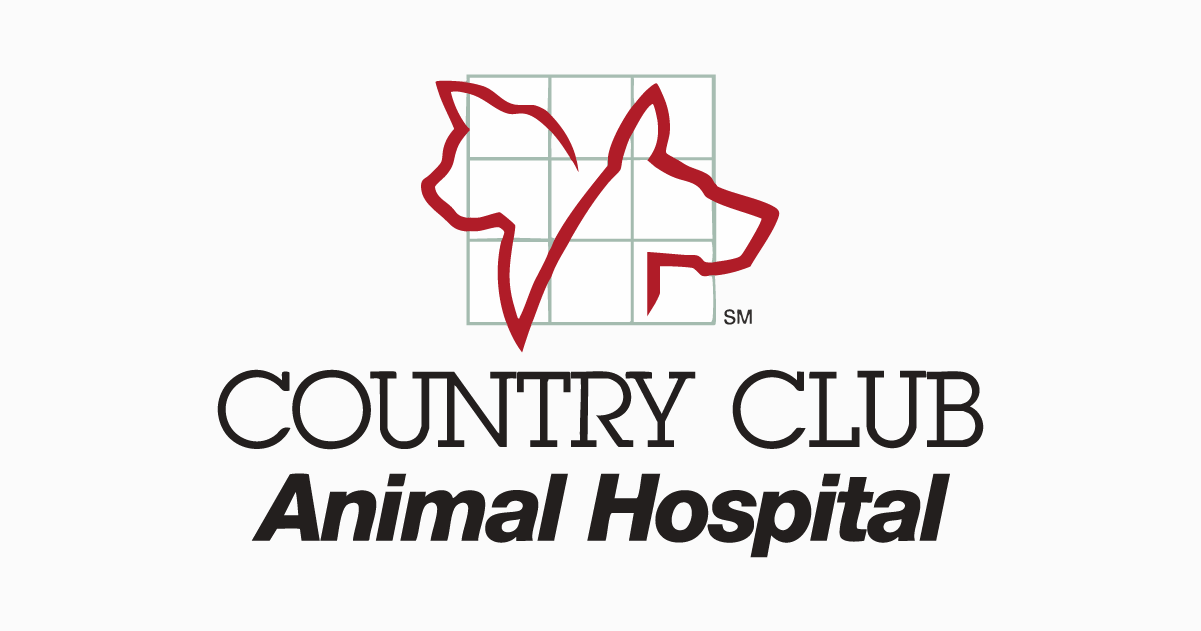 Animal Hospital
