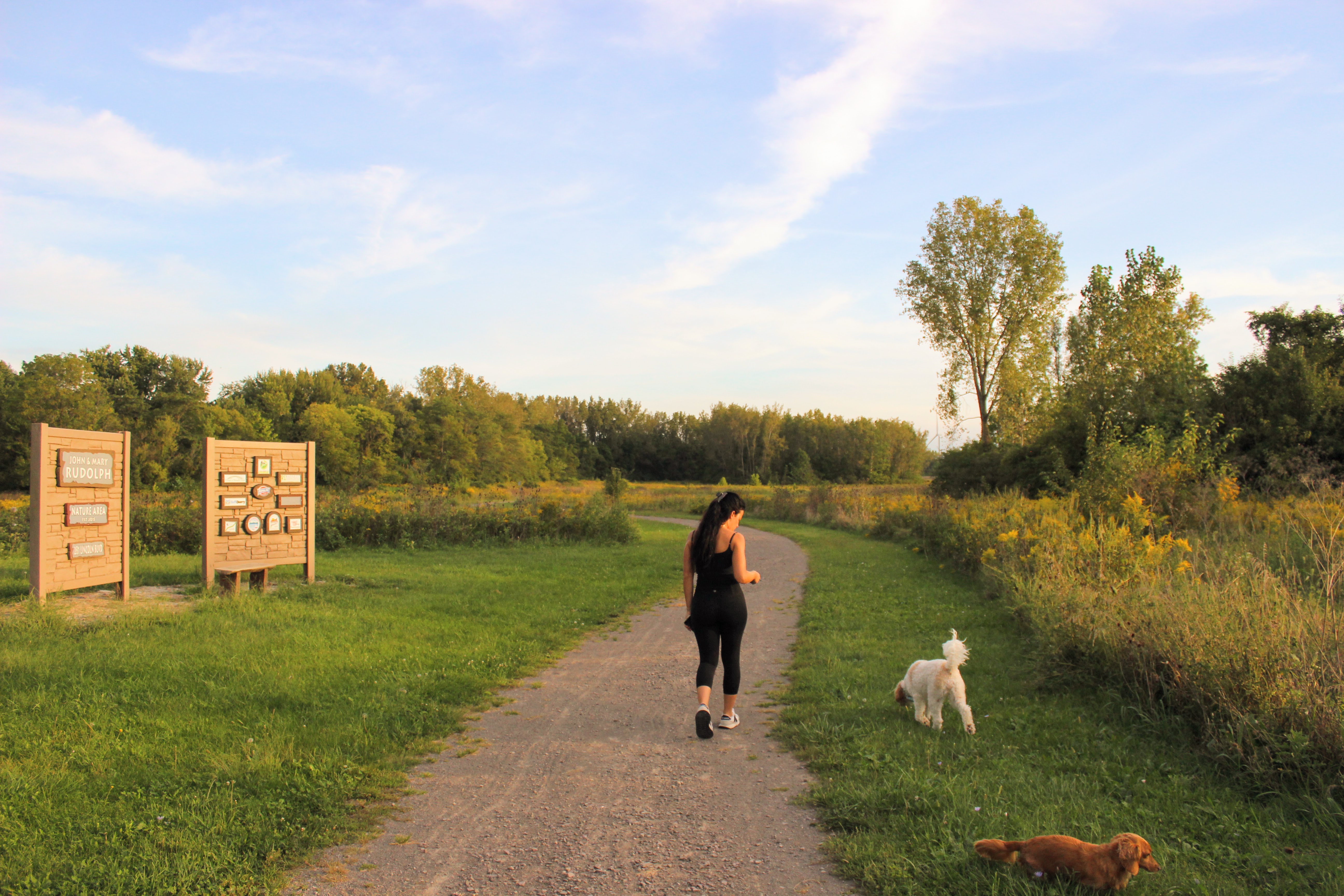 Walking trail with dogs at Indian Lake