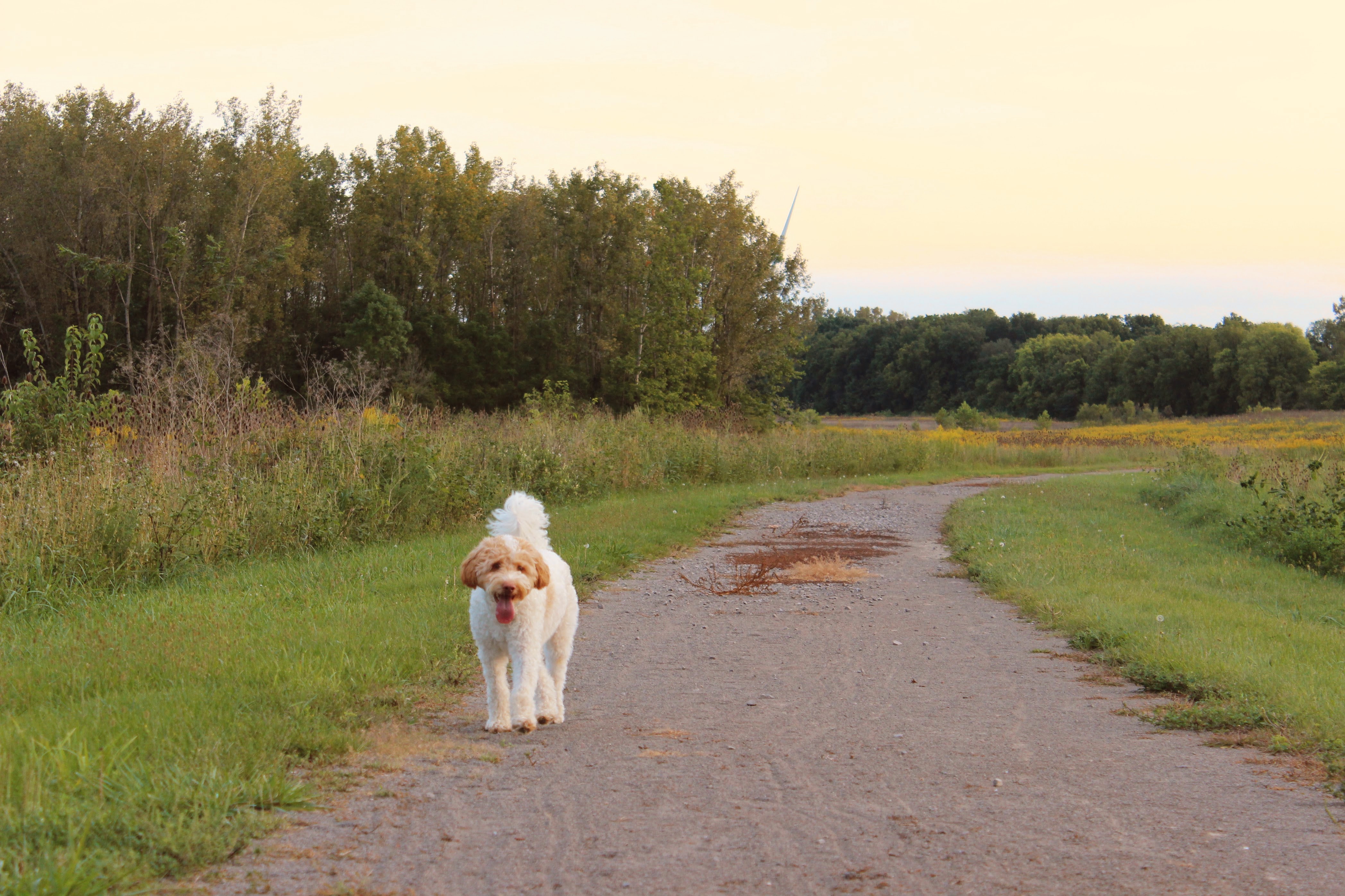 On-location photography near Indian Lake, Ohio