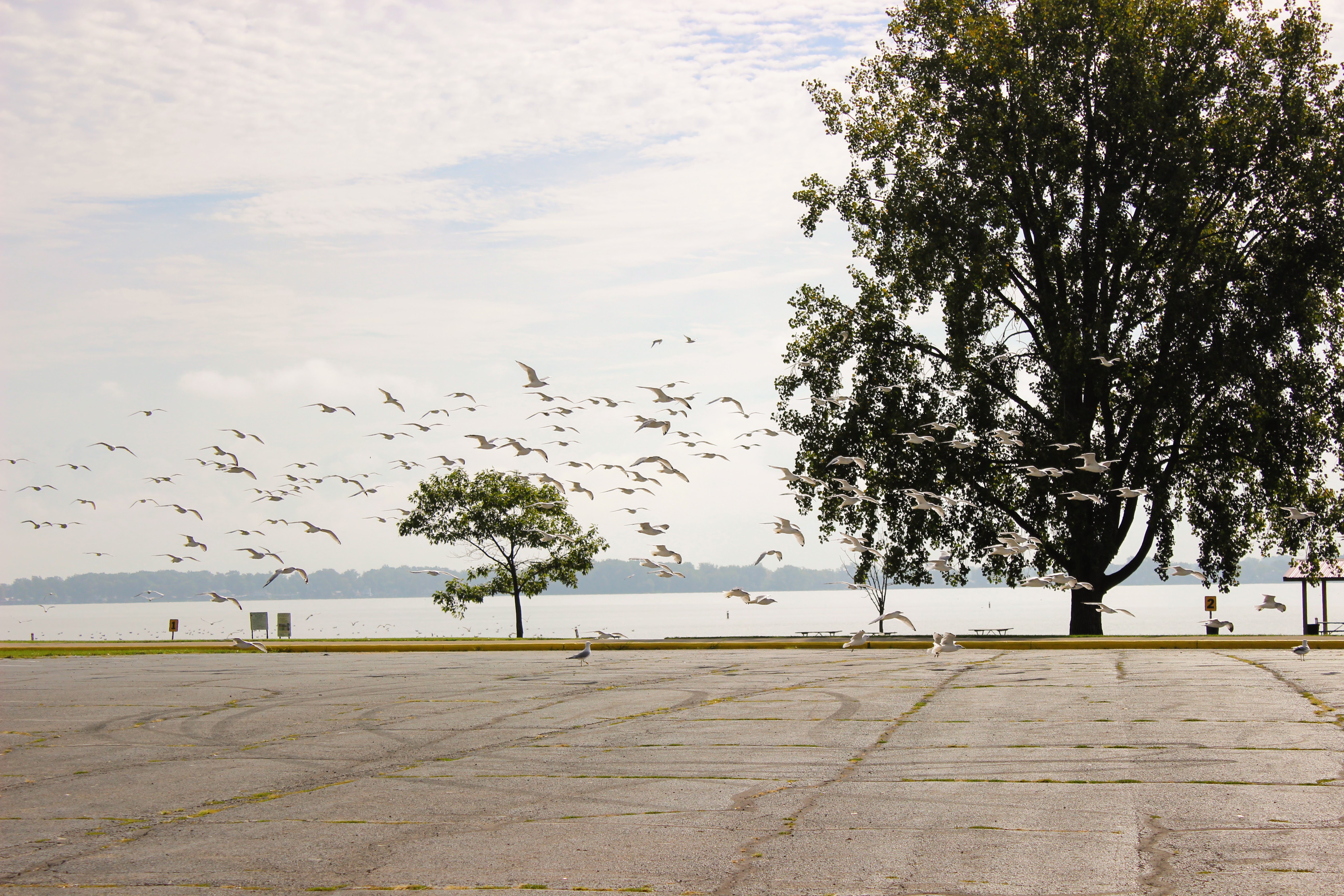 Indian Lake waterfront, destination for traveling anglers