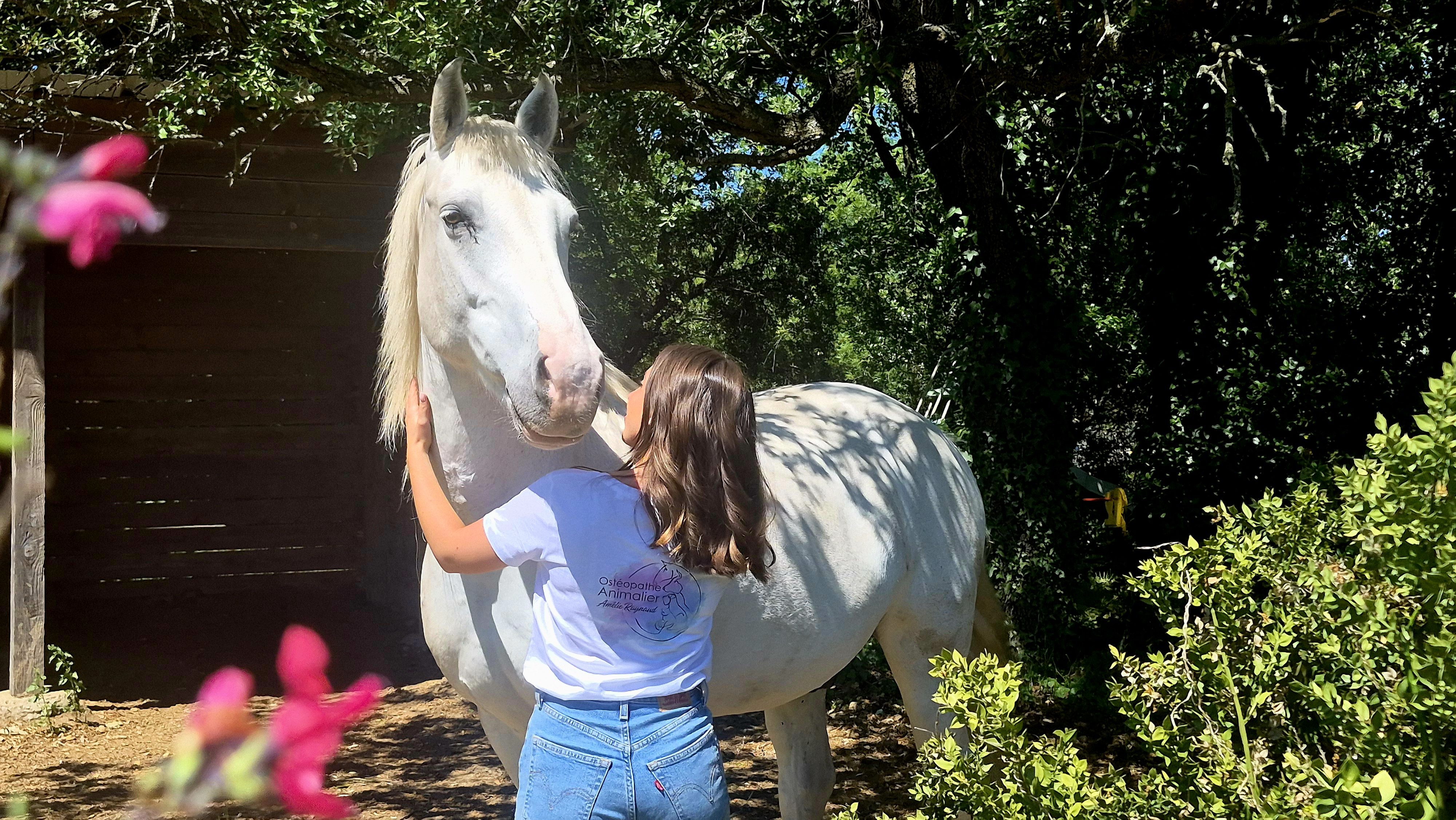 Femme caressant un cheval blanc dans un cadre boisé ensoleillé.