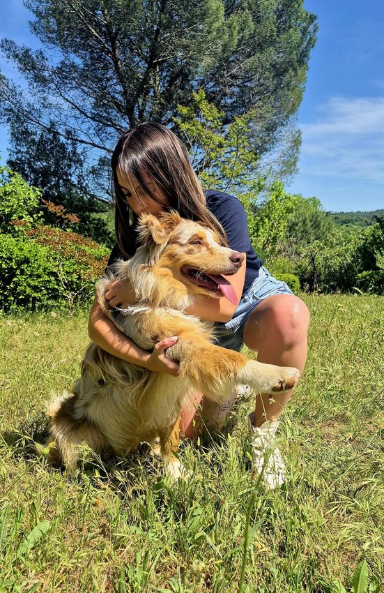 Femme accroupie embrassant un chien australien heureux dans une prairie ensoleillée.