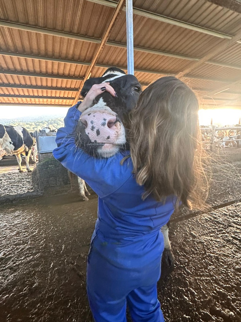 Une personne en bleu embrasse une vache noire et blanche dans une grange à la lumière du soleil couchant.