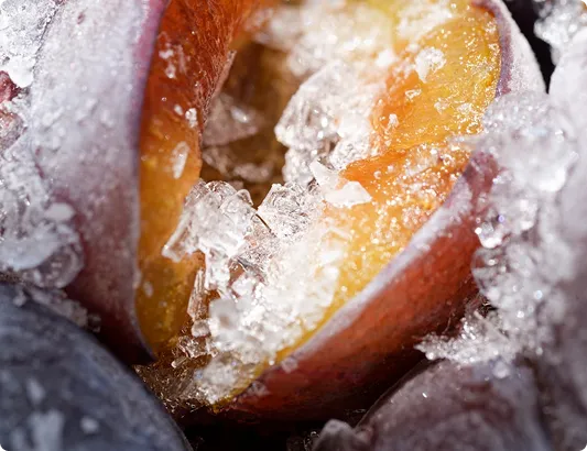 Close-up of a halved peach with ice crystals on its surface.