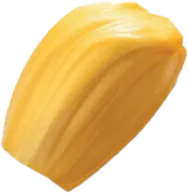 Close-up of a single ripe yellow jackfruit bulb.