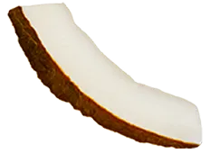Single slice of coconut showing white flesh and brown outer shell.