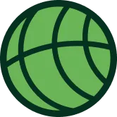 Green globe icon with dark green continents and black grid lines on a dark background.