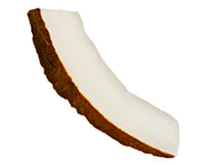 Single slice of dried coconut with brown outer shell and white inner flesh.