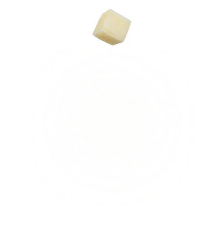 Top view illustration of an onion slice with concentric rings and a single diced onion cube above it.