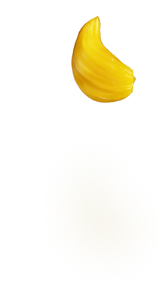 Single yellow jackfruit seed isolated on a white background.