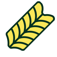 Illustration of a yellow and green striped wheat pasta piece.