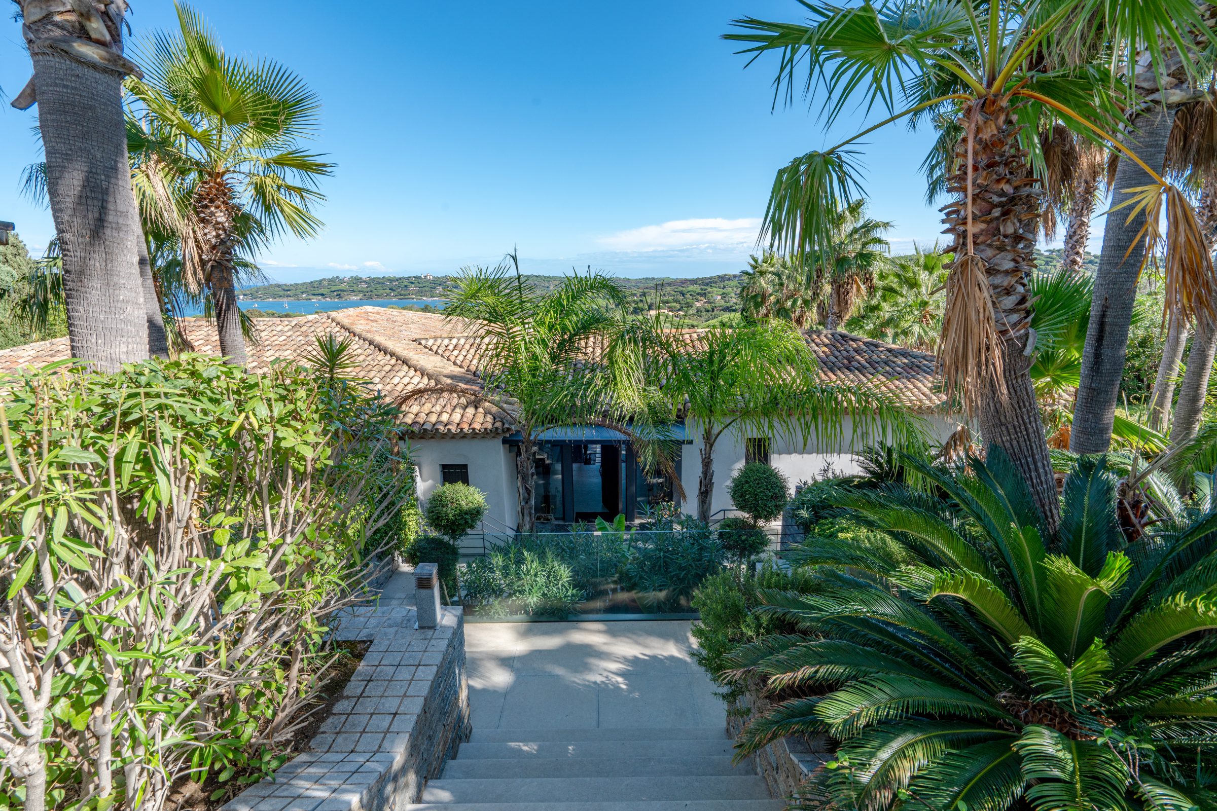 Villa TEXAS – Garden path lined with palm trees