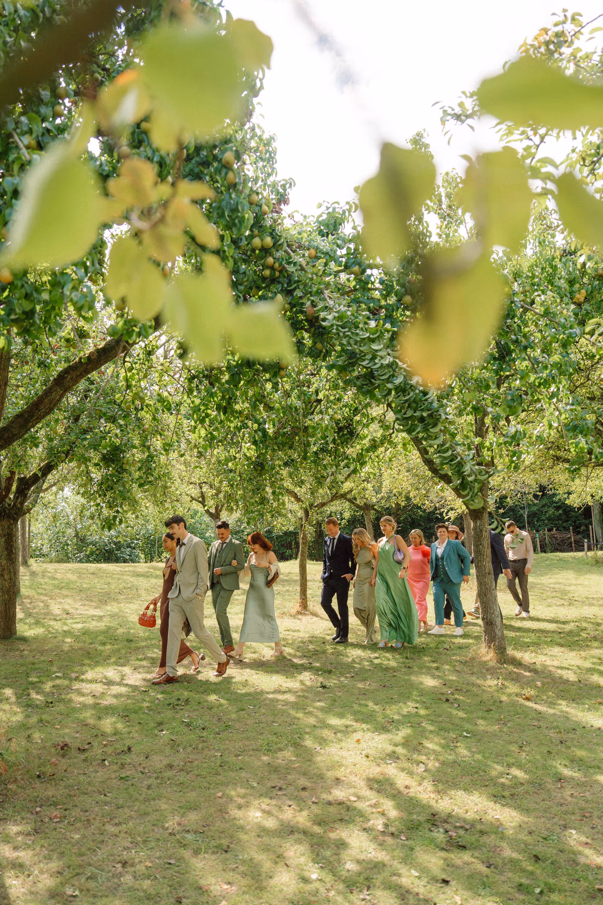 Group of well-dressed people walking through a sunlit orchard with fruit trees.