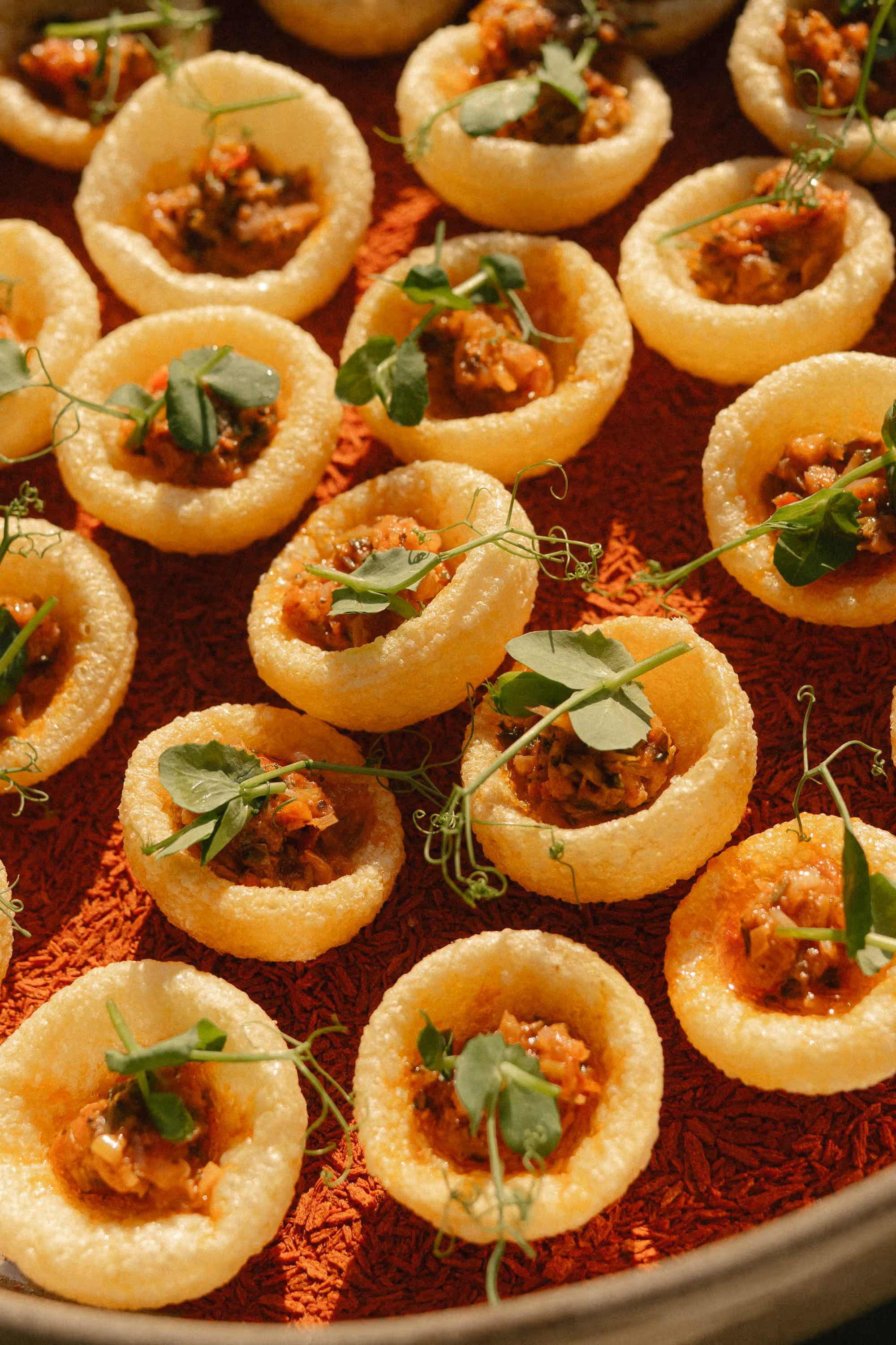 Round crispy snacks filled with a spicy mixture and garnished with green herbs on a red textured surface.