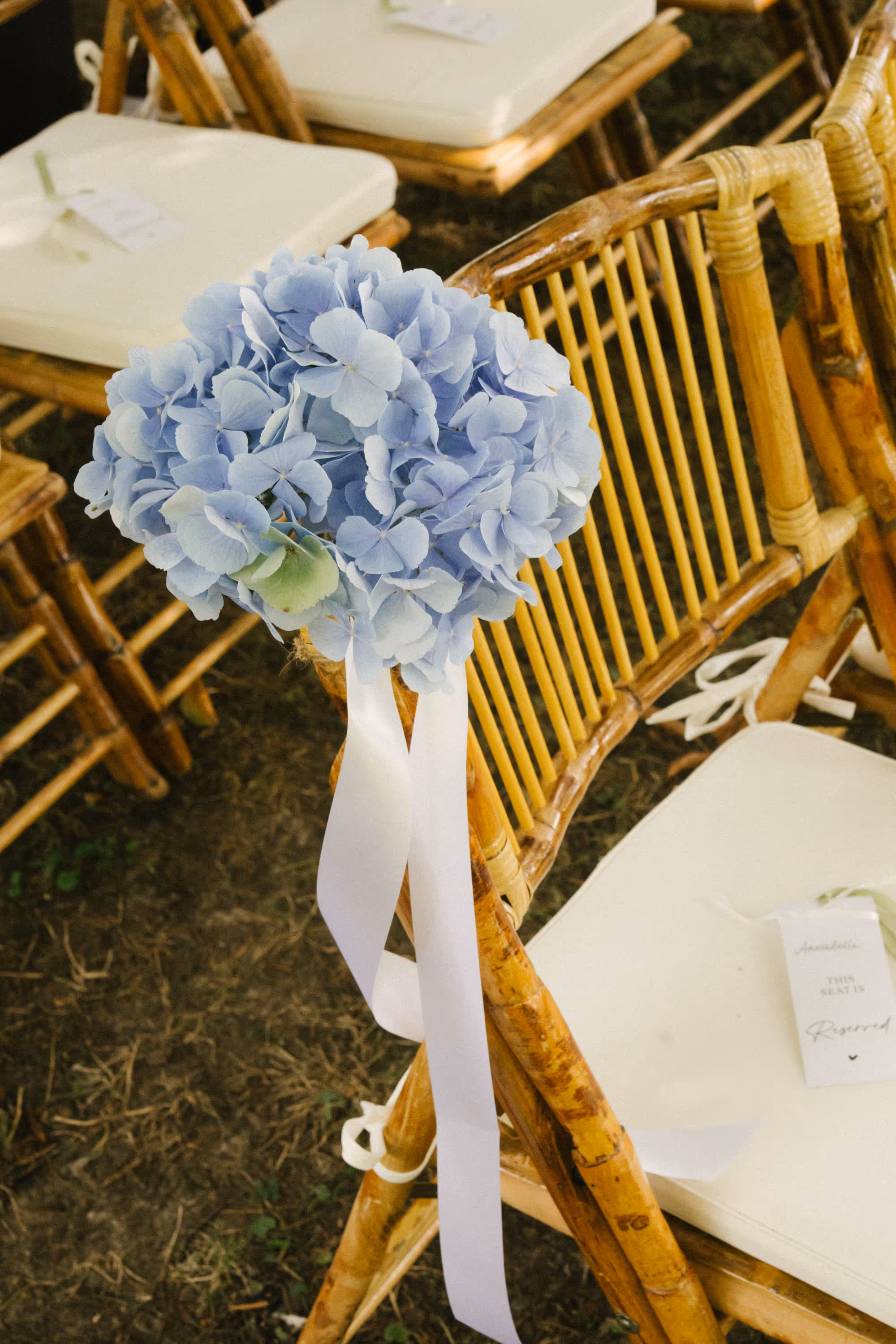 Light blue hydrangea flower attached to a wooden chair with a white ribbon at an outdoor event.