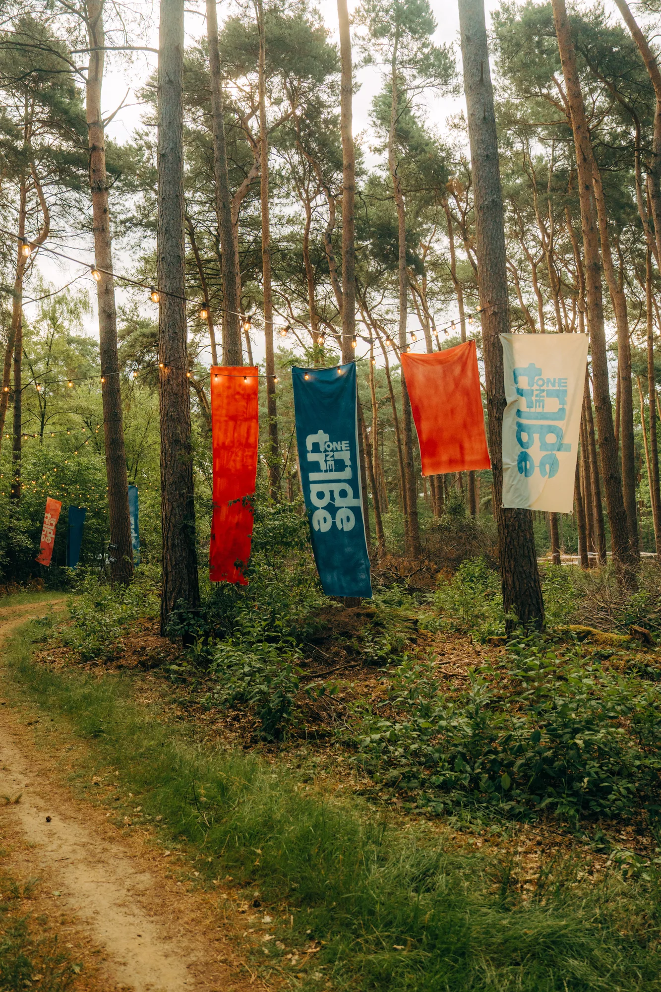 Colorful vertical banners hanging between pine trees along a forest path with string lights illuminating the area.