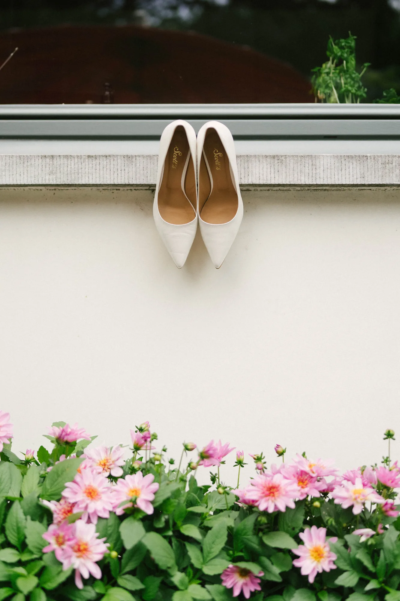 Pair of white pointed-toe high heels placed side by side on a ledge above blooming pink flowers and green leaves.