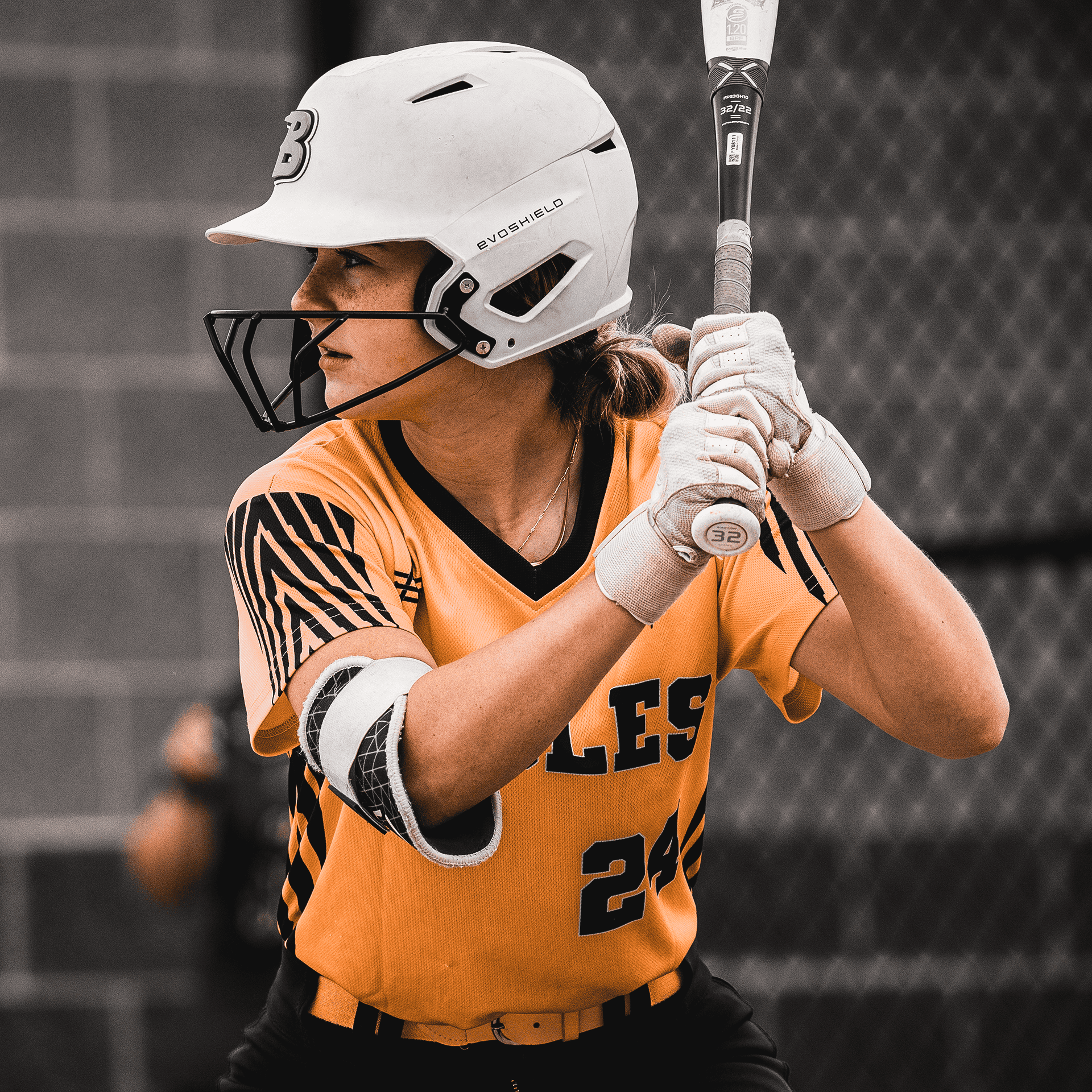 image of a concert crowd