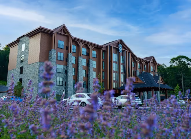 The Swiftwater hôtel, modern hotel building with wood and stone facade, elegant entrance and parking area, surrounded by purple flowers in the foreground under a blue sky.