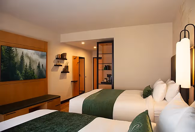 Detailed view of a double room at The Swiftwater showing a wall-mounted TV displaying a misty forest landscape and decorative shelving.
