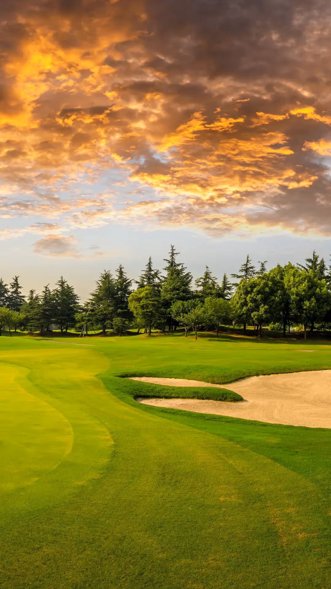 A golfer teeing off on a lush green golf course near The Swiftwater Hotel