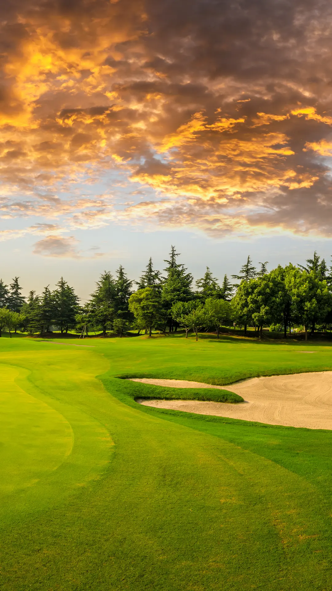 A golfer teeing off on a lush green golf course near The Swiftwater Hotel