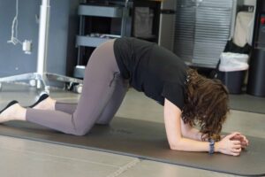 Forearm cat-cow exercise position