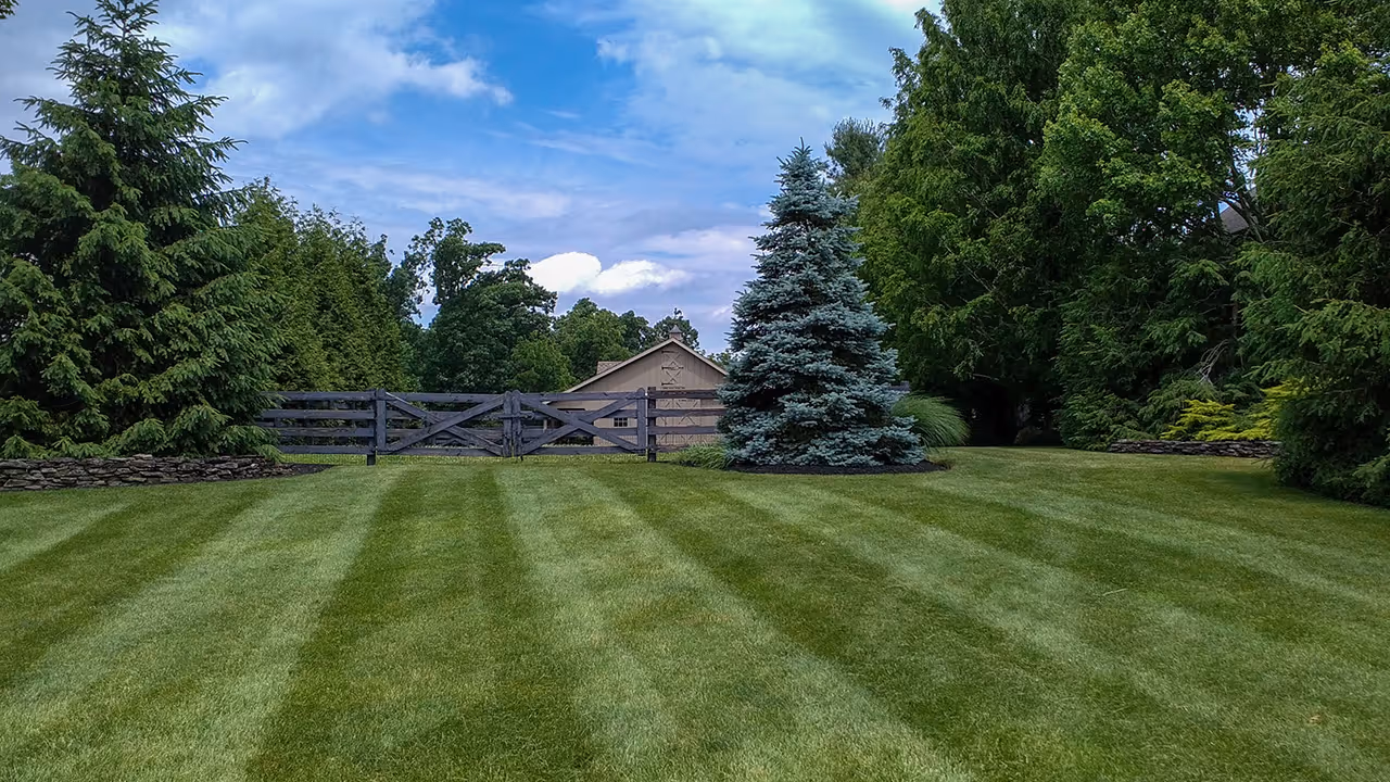 Clean, striped lawn maintained with precision mowing in Chesapeake, Virginia