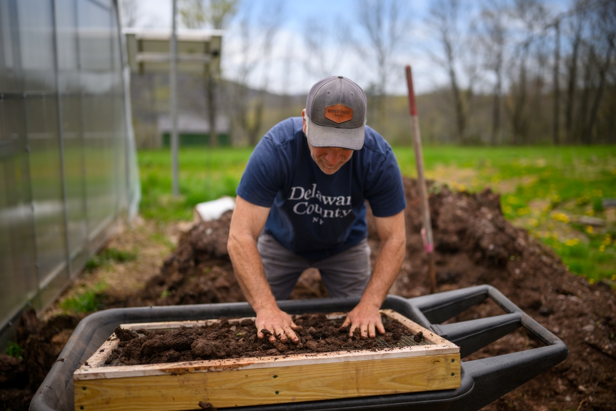 A man wearing a navy blue "Delaware County NY" t-shirt and a grey baseball cap is sifting dark soil or compost through a rectangular wooden-framed wire mesh screen into a black wheelbarrow. His hands are actively working the soil on the screen. In the background, there is a pile of soil, a greenhouse structure on the left, and green grass with trees under a cloudy sky.