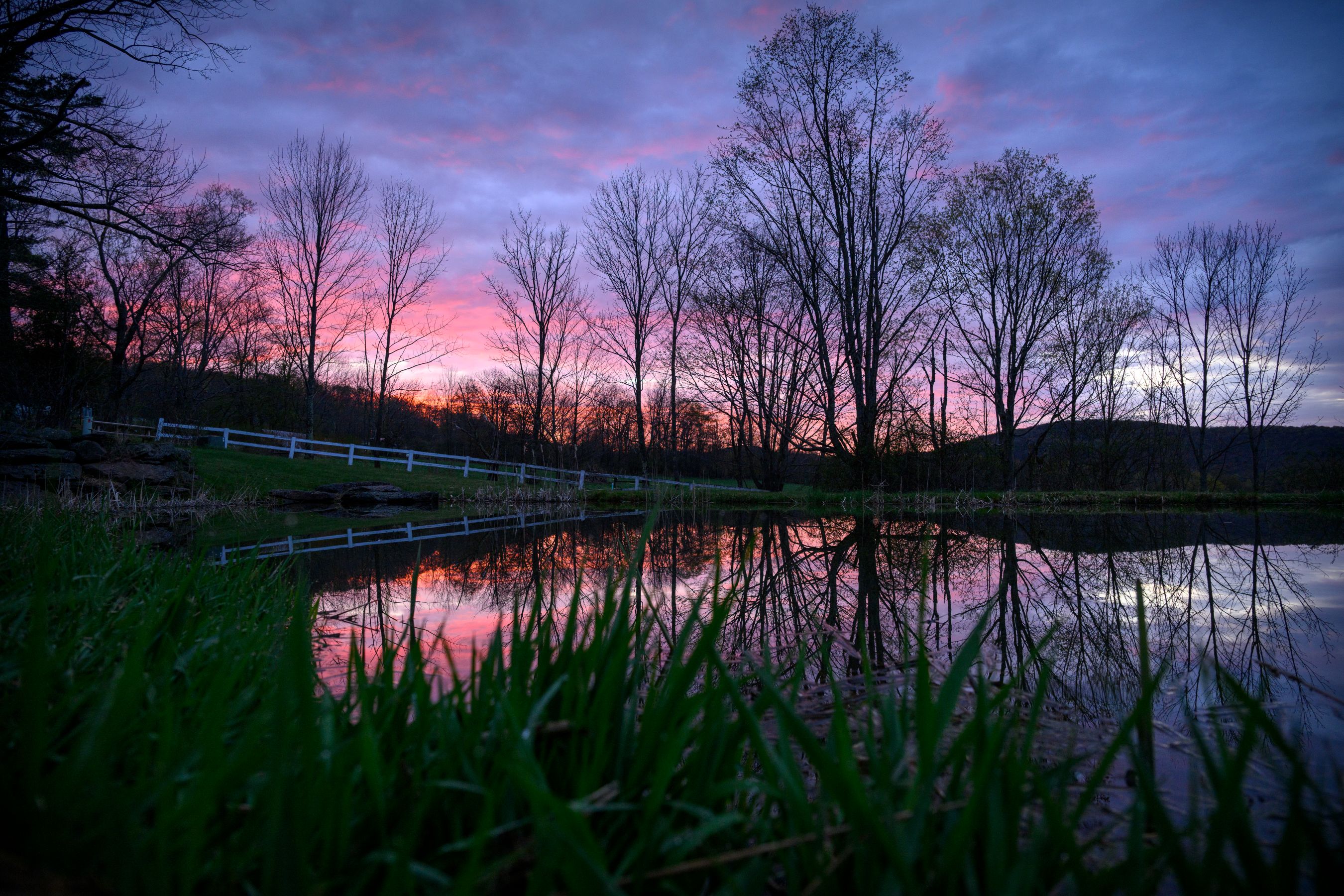 A vibrant purple and pink sunset is perfectly reflected in a still pond, with silhouettes of bare trees and a white fence along the bank.