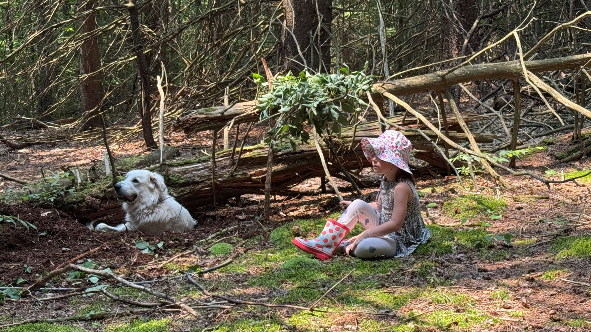A young girl wearing a floral sun hat and strawberry-patterned boots sits on a mossy patch in a dense forest. Beside her, a large white livestock guardian dog rests in a shallow dirt hole next to a fallen log.
