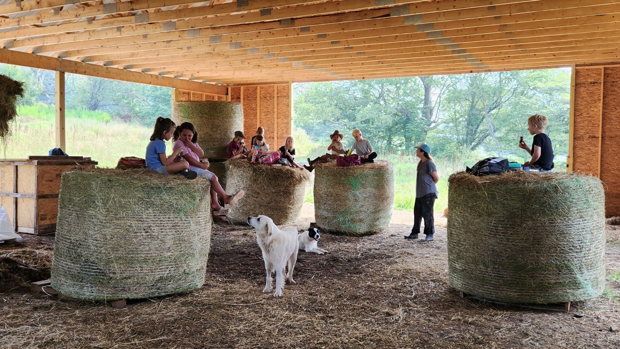 Inside a large barn with a wooden timber frame and dirt floor, several children sit and relax on top of large, round hay bales. Two adults are also present, one standing and one sitting on a bale. A large white dog stands in the foreground, and a smaller black and white dog lies nearby. The open side of the barn looks out onto a sunlit green field and trees.