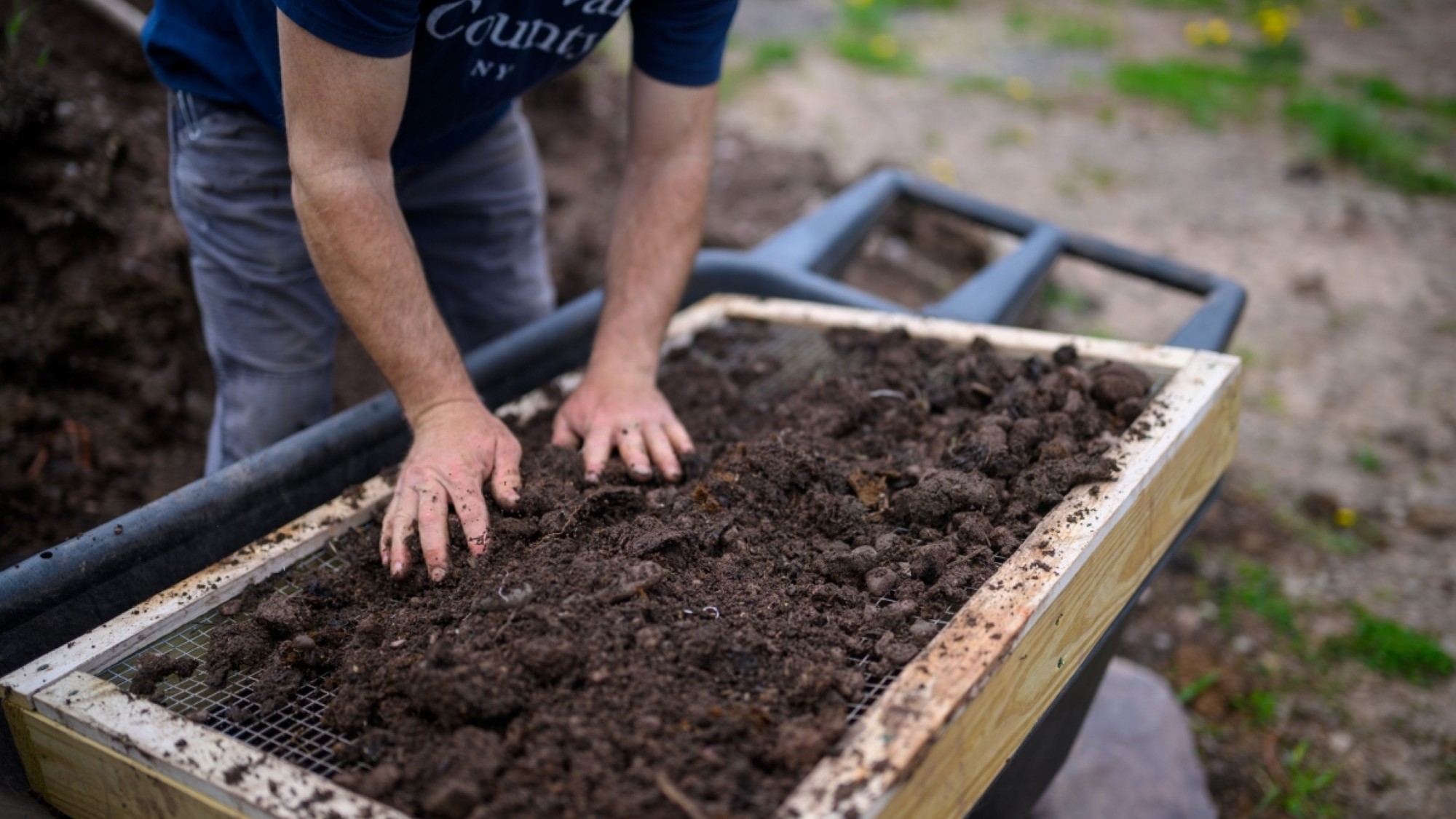 A close-up photograph shows a person wearing a dark blue t-shirt with white lettering that reads "Delaware County NY" and light grey pants, sifting through dark, clumpy soil on a large wooden-framed mesh screen that rests on a wheelbarrow. Their hands are covered in dirt as they work the soil. The background shows a pile of soil and green grass.