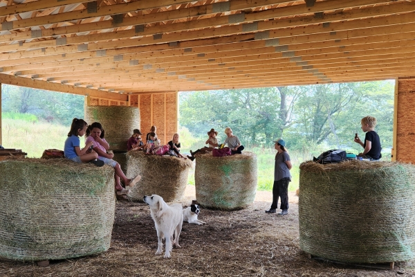 Inside a large barn with a wooden timber frame and dirt floor, several children sit and relax on top of large, round hay bales. Two adults are also present, one standing and one sitting on a bale. A large white dog stands in the foreground, and a smaller black and white dog lies nearby. The open side of the barn looks out onto a sunlit green field and trees.