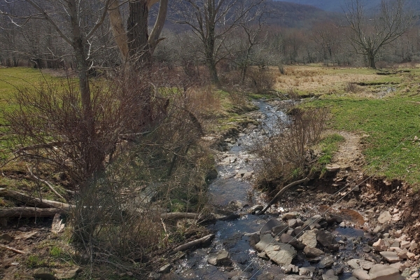 A photograph shows a narrow, rocky creek flowing through a rural field under a blue sky with some clouds. The trees and bushes lining the creek are bare, with no leaves, indicating it is late autumn, winter, or early spring. The creek bed is full of rocks and pebbles, and the banks are eroded in places, showing soil and rocks. On the left, there are several tall, bare trees with thick trunks. In the background, a large, dark mountain rises against the horizon. The overall impression is of a quiet, natural scene in a cool season.