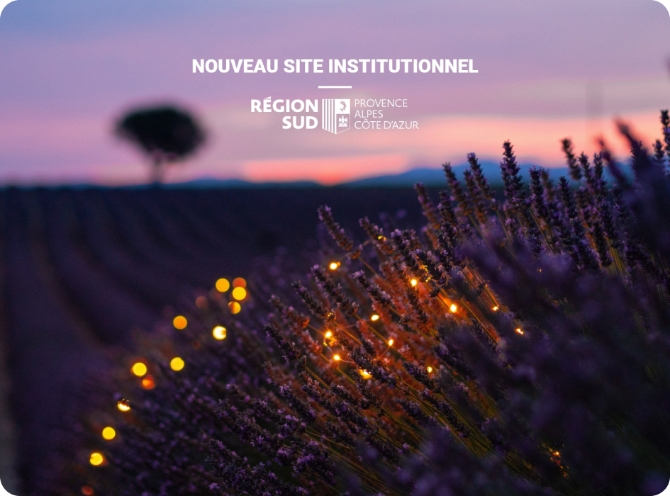 Visuel d'un champ de lavande pour présenter un projet pour la Région Sud