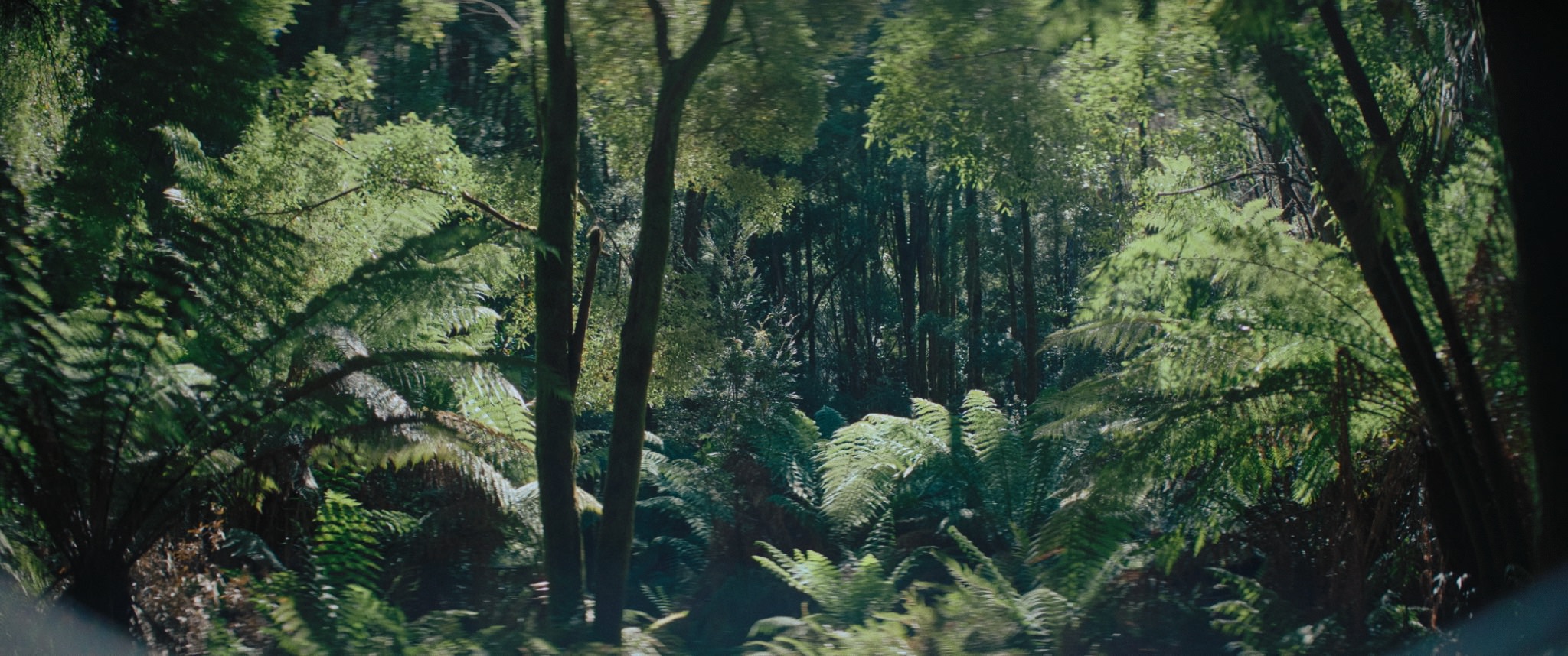 tasmanian-video-production-brand-tasmania-joshua-lamont