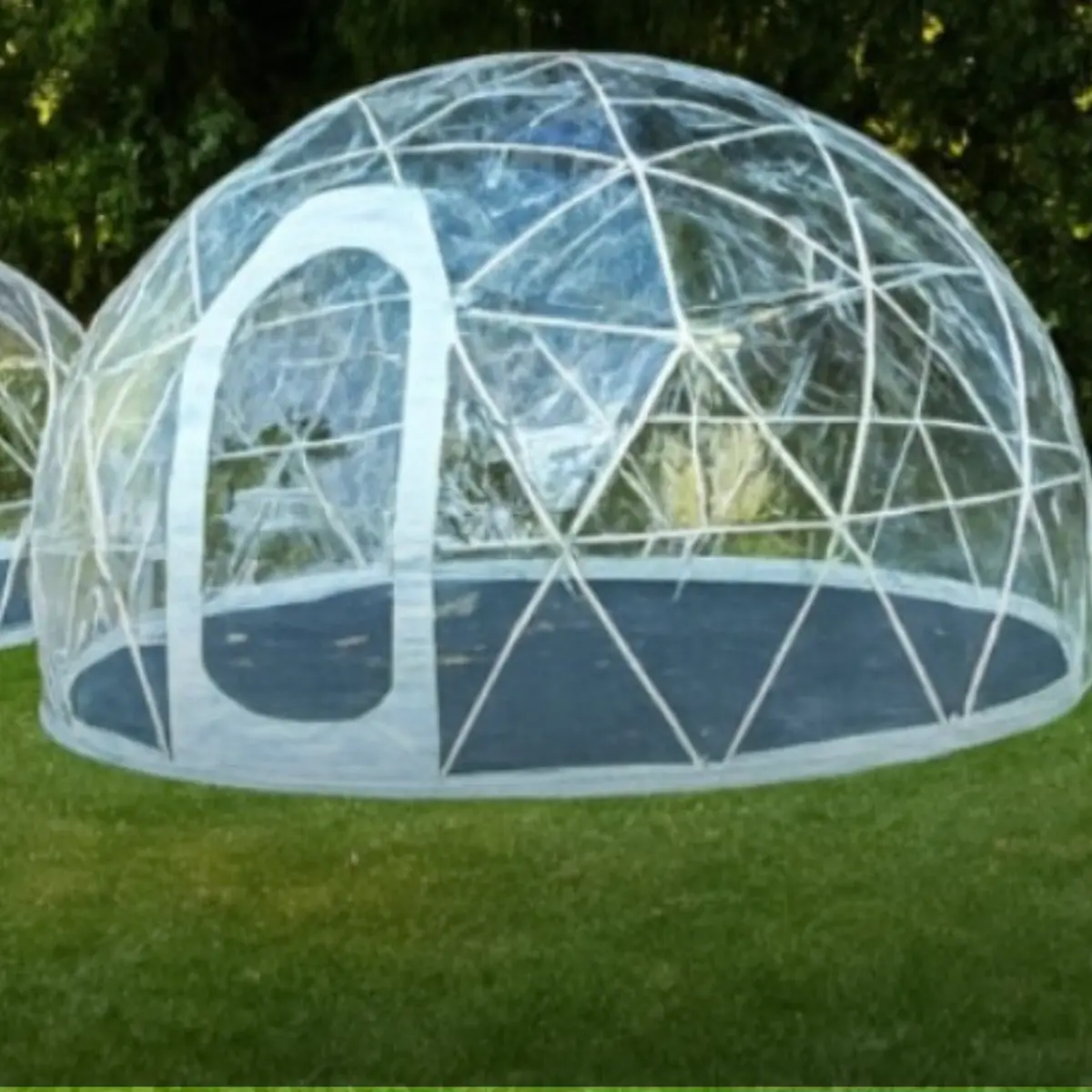 Two transparent geodesic dome tents with white frame structures set on green grass in a wooded outdoor area with trees and blue sky.