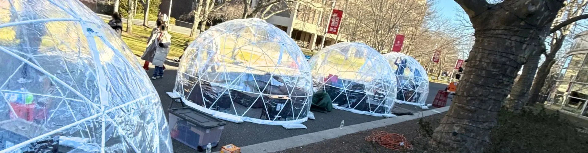 Multiple clear igloo rentals installed for a university campus event in New York