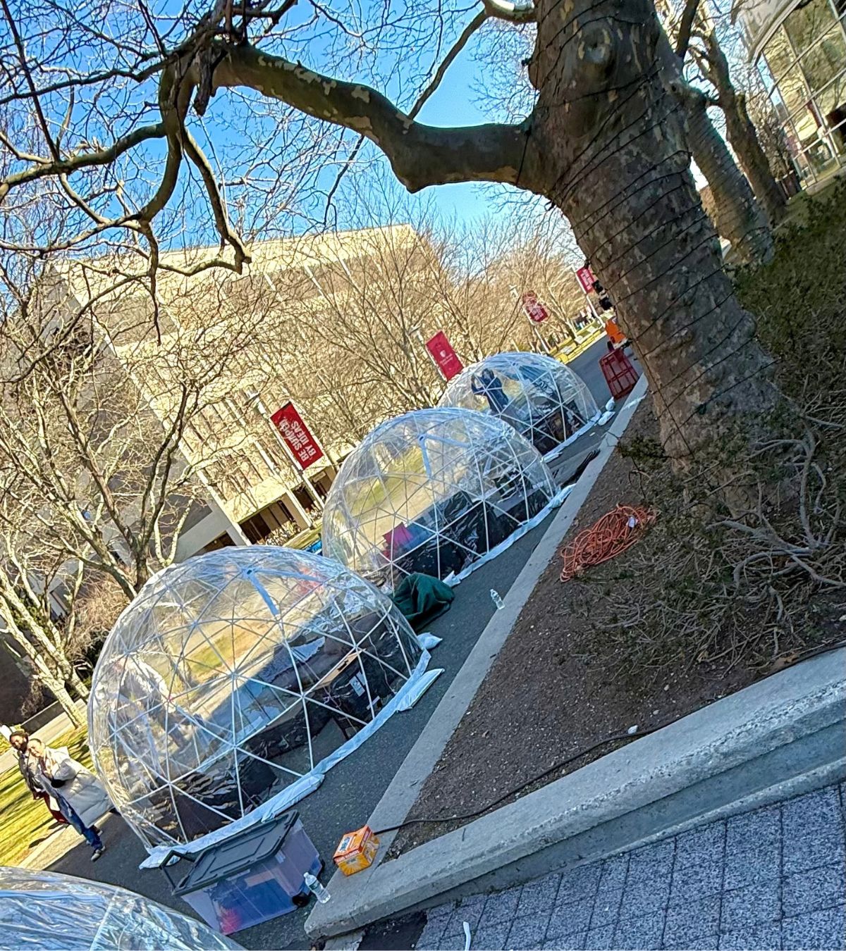 Multiple heated event igloos installed on the Stony Brook University campus in New York