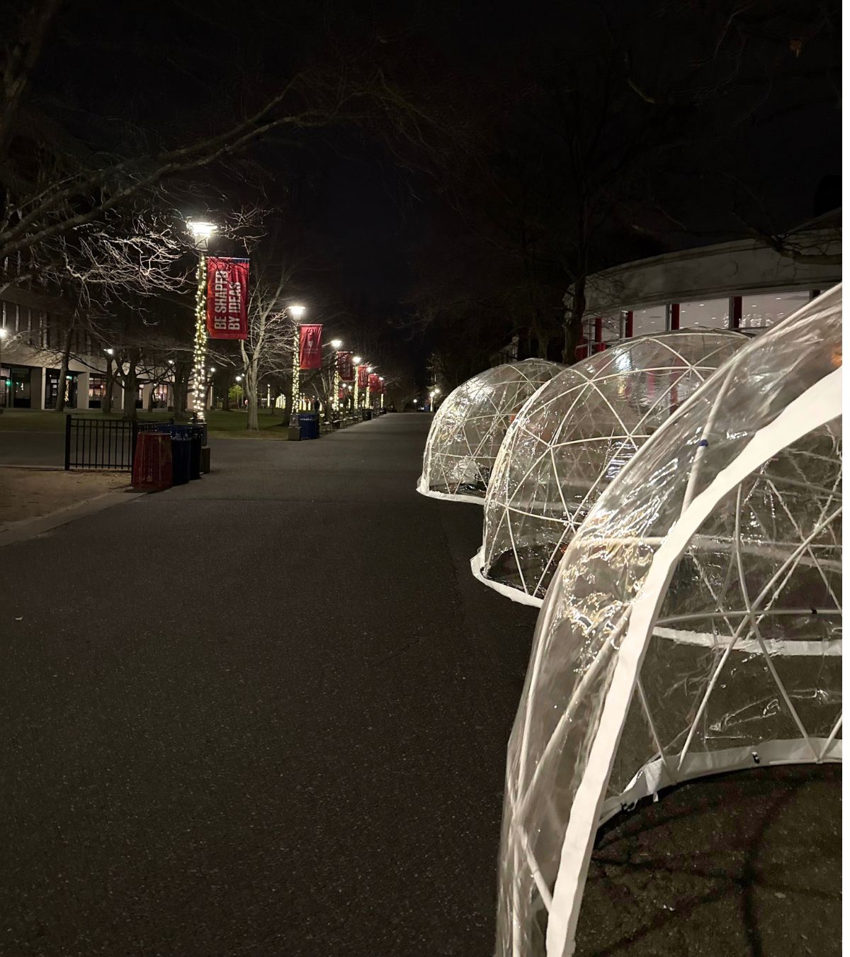 Heated igloo rentals lined up on the Stony Brook University campus during a nighttime event