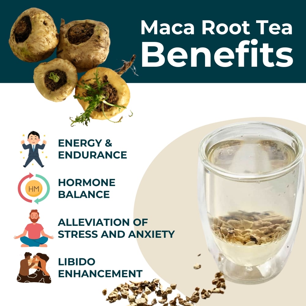 Maca-Root-Tea-Health-Benefits.jpg