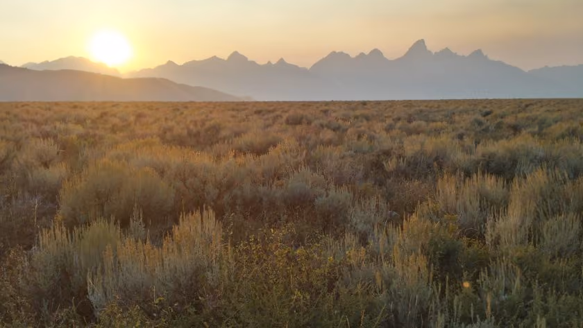 VIDEO: 80% of Required Funds Secured to Protect 640-acre Parcel from Development