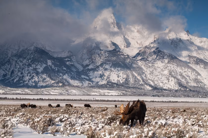 Completed $23 million campaign to permanently protect land in the heart of Grand Teton