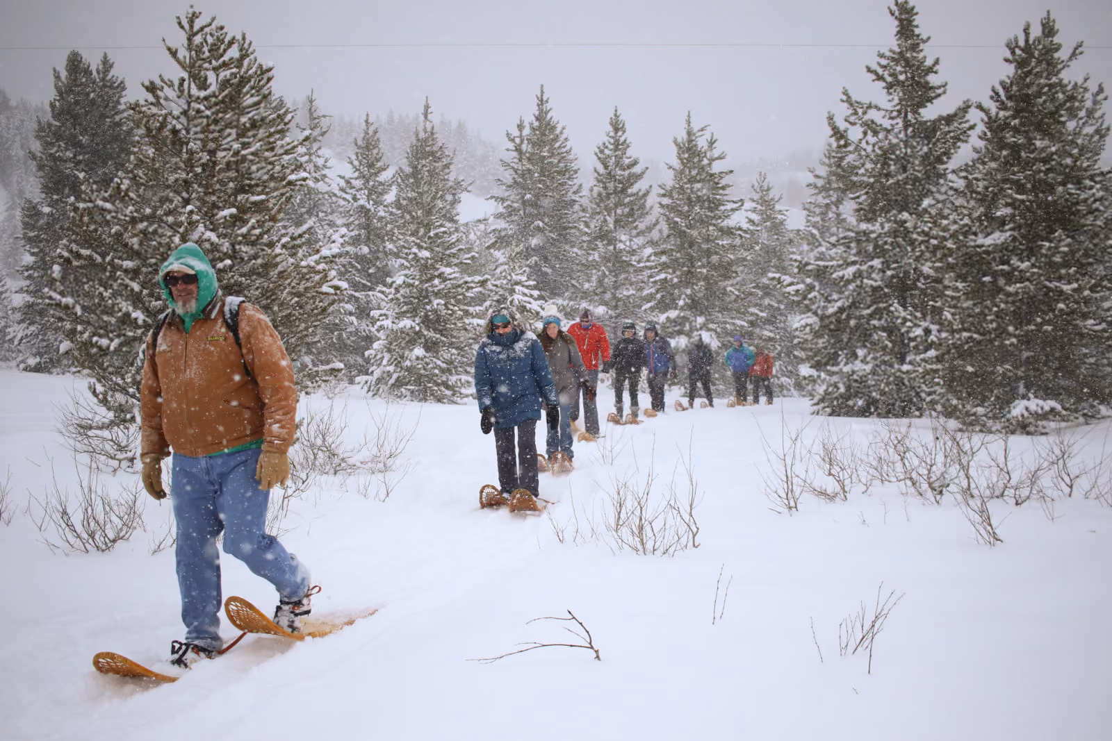 Adventure Journal: Ranger-led Snowshoe Hike