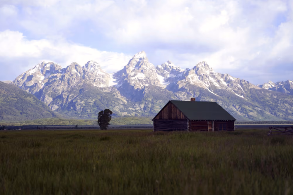 The historic landscape of the Kelly Hayfields along Mormon Row. Photo: Todd Smith, Alpyn Beauty.