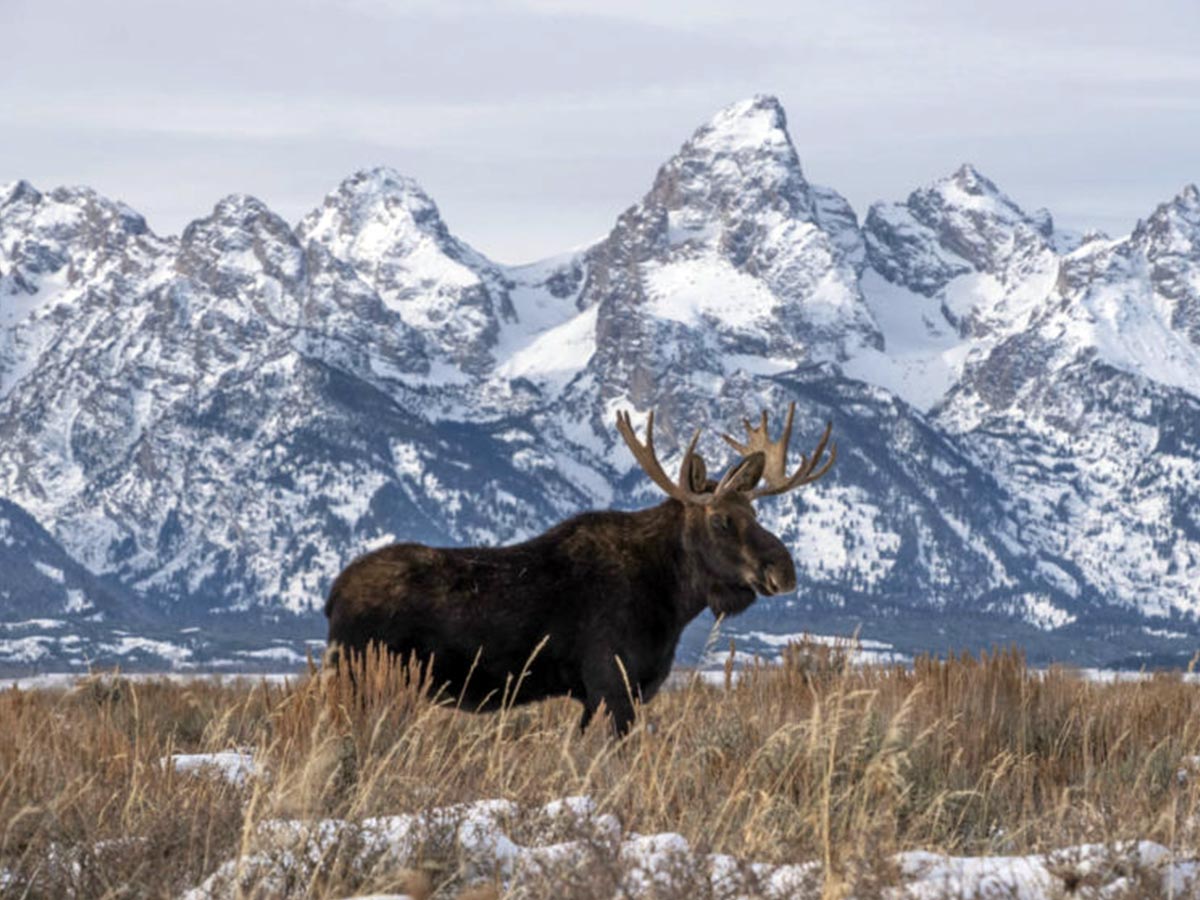 Foundation Gifts $6.3 Million to Grand Teton in 2020