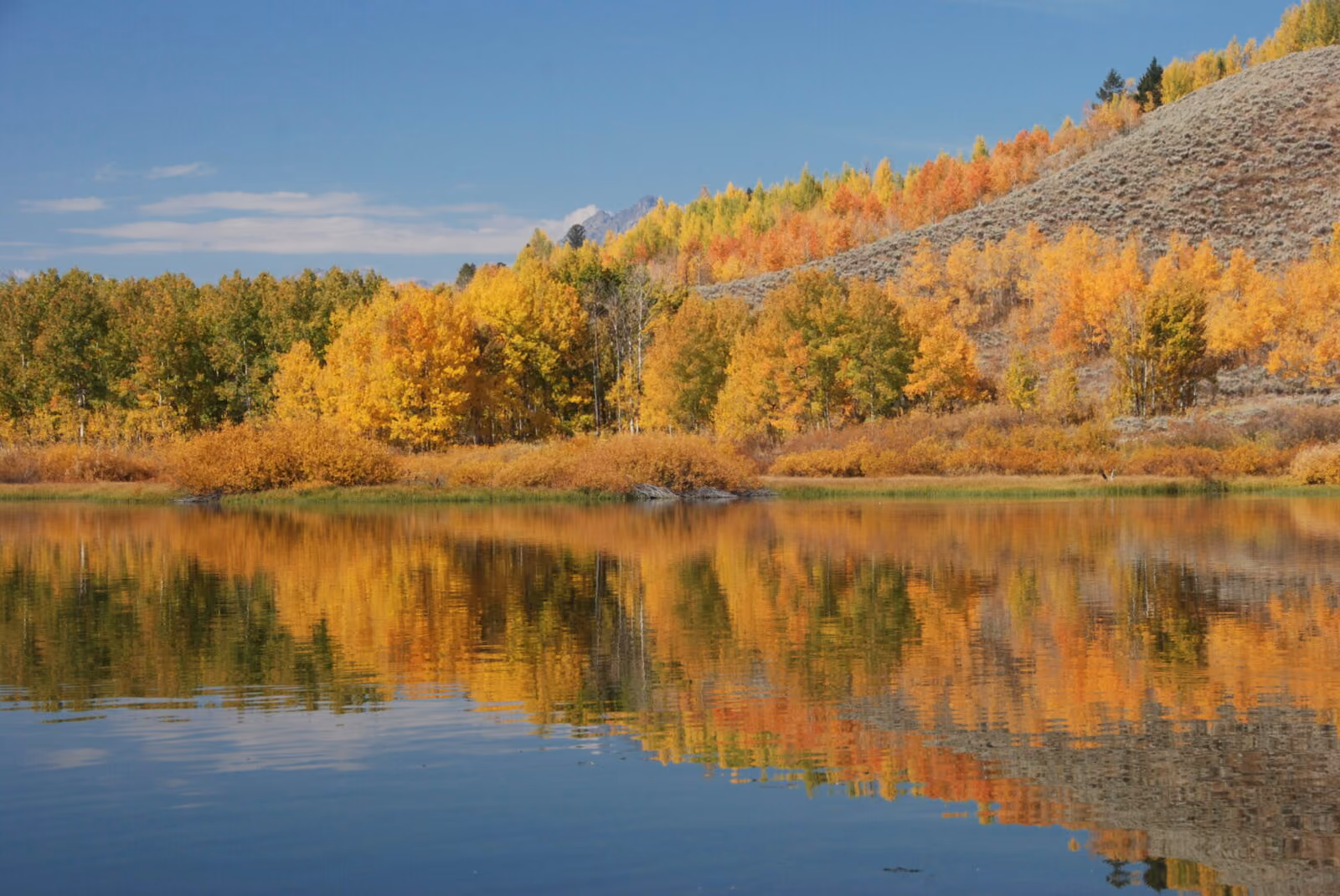 Photo of Oxbow Bend in Grand Teton National Park, with the Snake River reflecting the red, orange, and yellow trees.