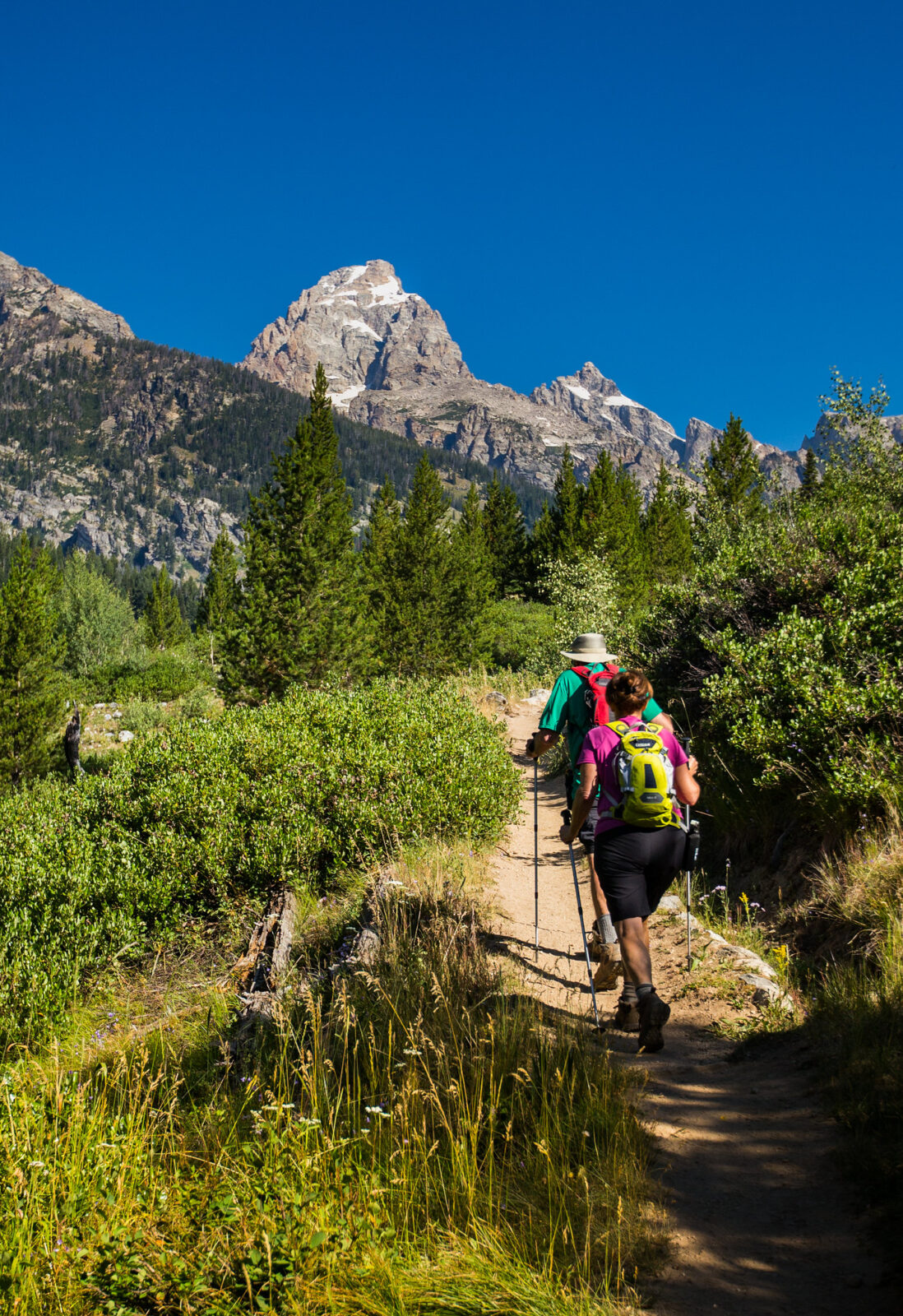 Grand Teton Seeks Input on Taggart Lake Area